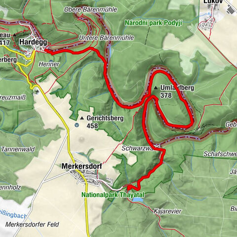 Carte