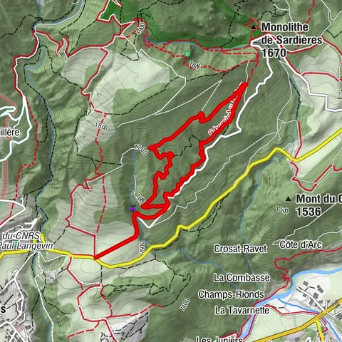 Carte