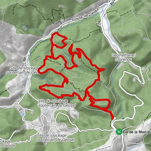 MANOSQUE - Les chemins de la forêt de Pélicier