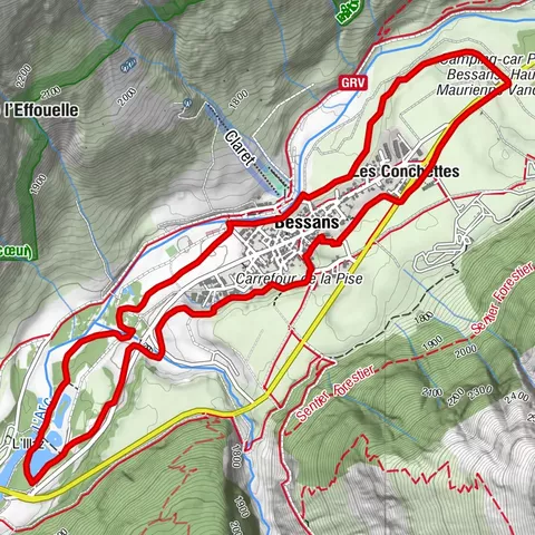 Carte