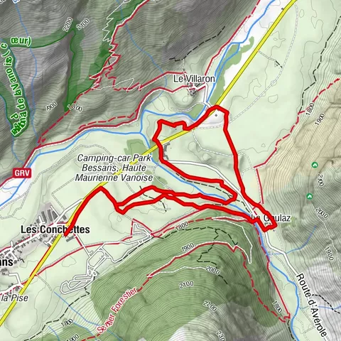 Carte
