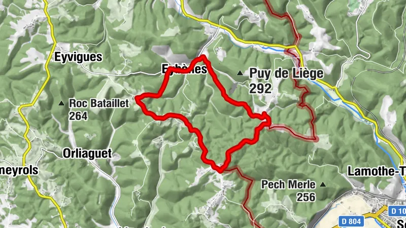 Boucle de la Forêt - Salignac