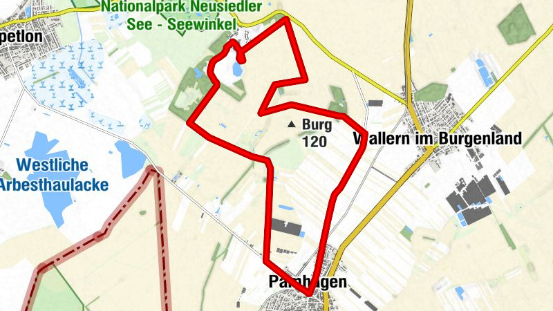 22 Course de la frontière (Parc de course du lac de Neusiedl - Seewinkel)