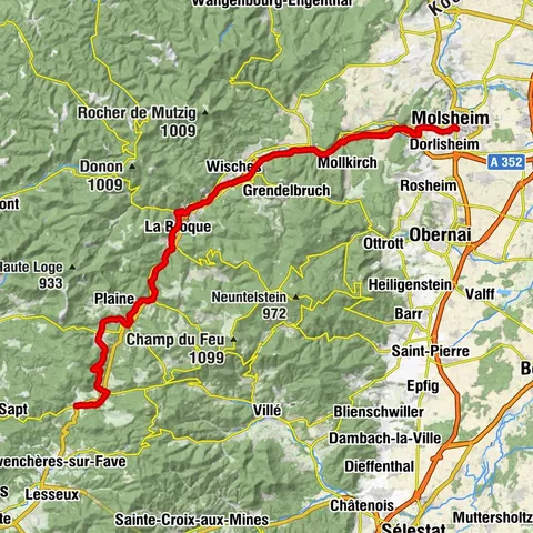 Carte