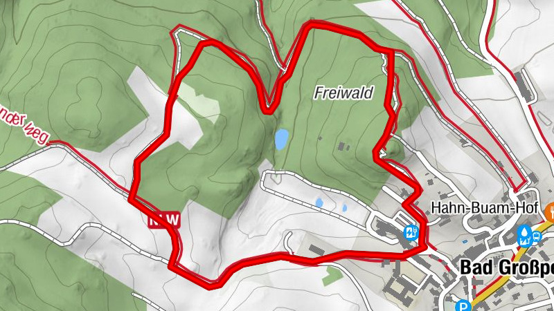 Sentier pédagogique des plantes sauvages avec chemin des pas