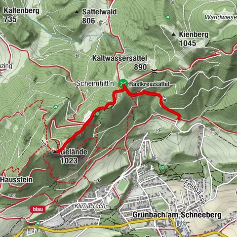 Carte