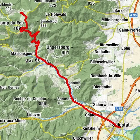 Carte