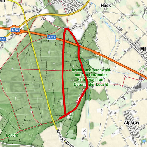 Wandern - Wald - (Er-) LEUCHT (ung) - rote Route