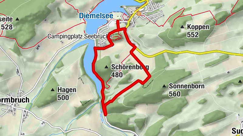 H3 - Rund um den Schörenberg - Diemelsee-Heringhausen
