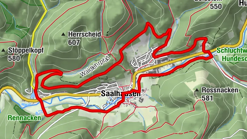 Saalhauser Rundweg (S-Weg)