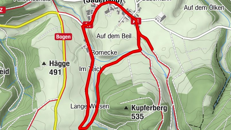 Carte