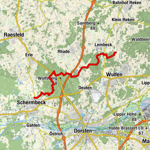 Hohe Mark Steig, Etappe 3 - Durch das Hirschgebiet Üfter Mark ins Münsterland