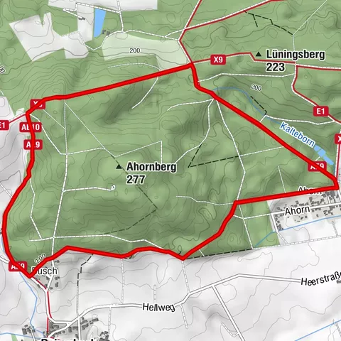 Carte