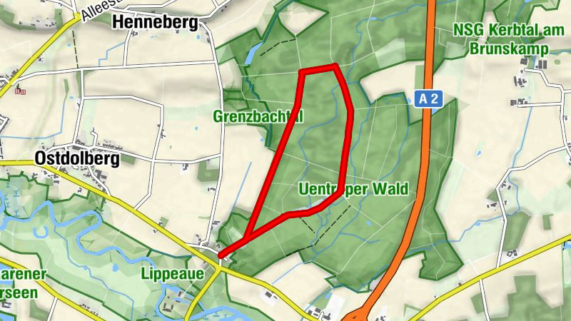 Lippetal: Spaziergang im Uentroper Wald