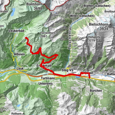 Carte