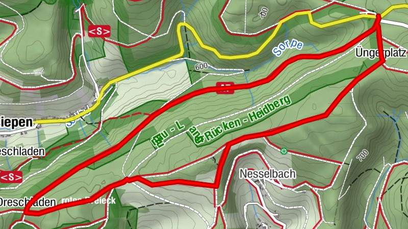 Carte