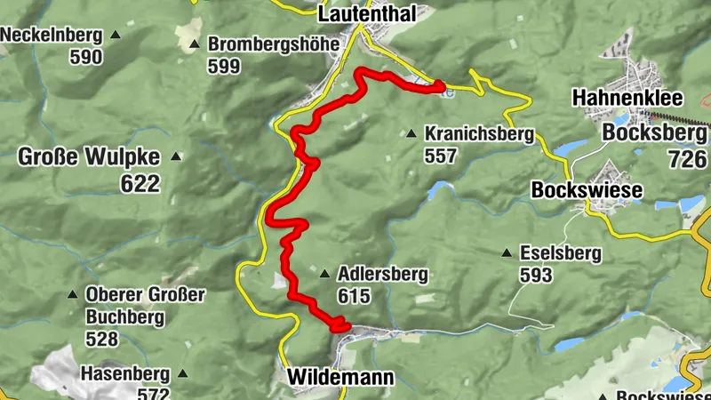 Wildemann über Adlersberg nach Lautenthal