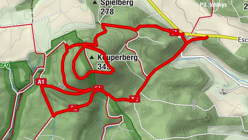 Carte