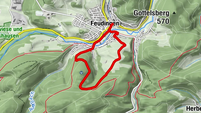 F8-Ortswanderweg Feudingen "Mackelshelle-Märchenwiese-Hohe Ley"