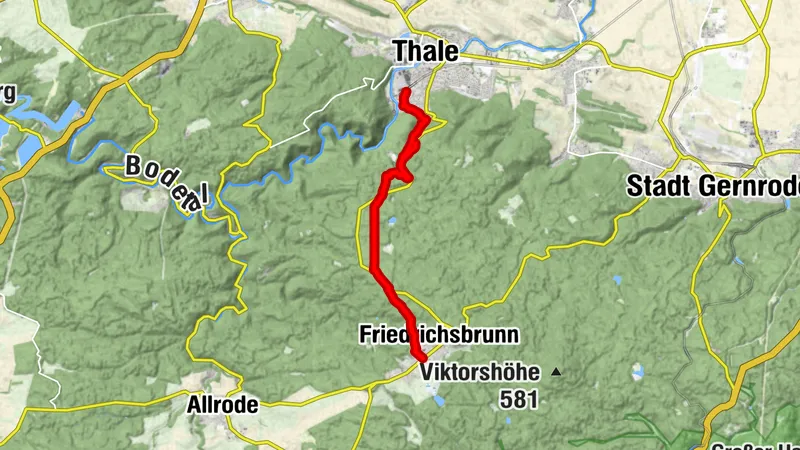 Durchs Steinbachtal nach Friedrichsbrunn
