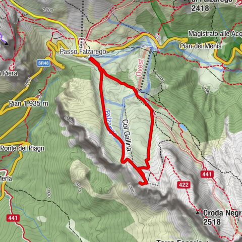 Carte