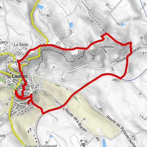 Carte
