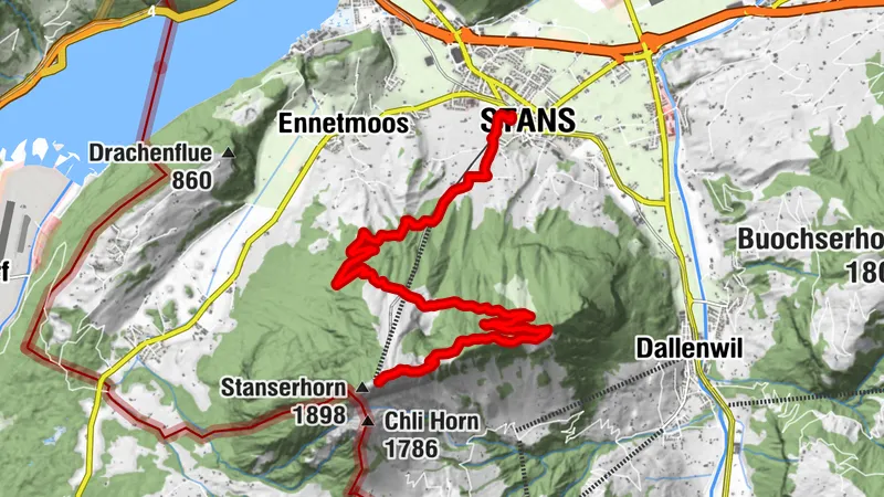 Carte