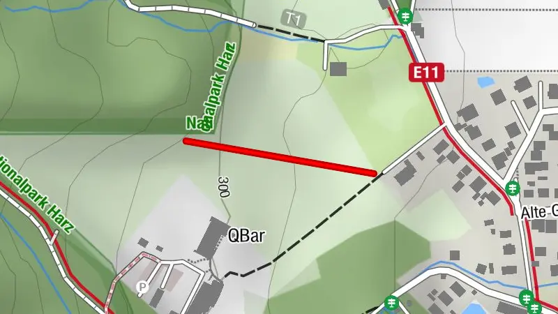 Rodelbahn an der Amtswiese - Ilsenburg