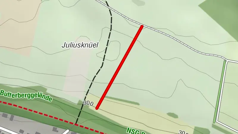 Naturrodelbahn am Butterberg - Bad Harzburg