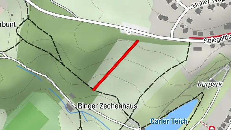 Rodelbahn Spiegelthaler Straße - Clausthal-Zellerfeld