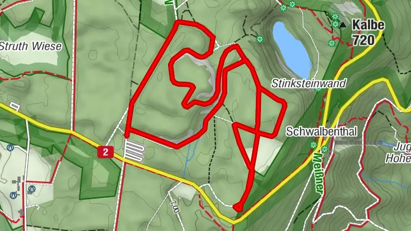 Skating-Loipe mit paralleler klassischer Loipe