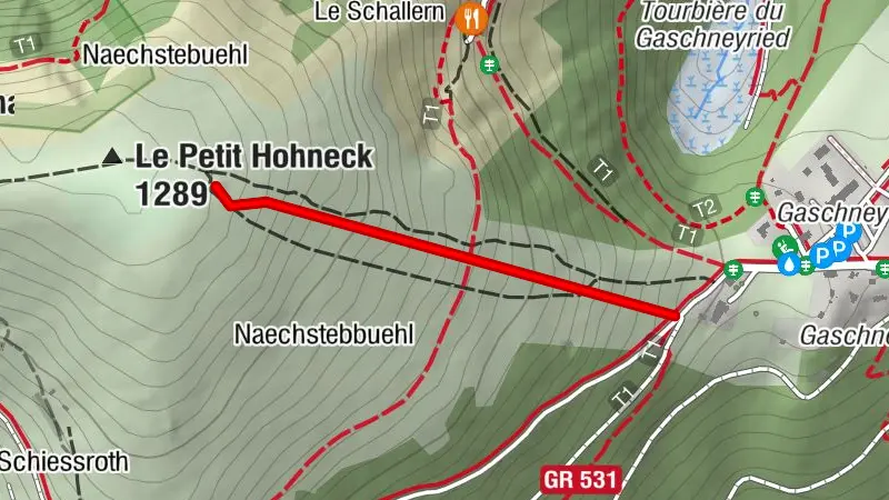 Parcours Trail : La Verticale du Petit Hohneck