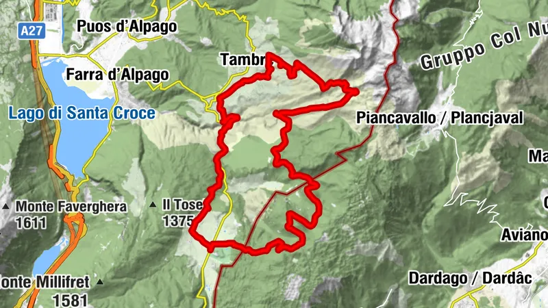 Carte