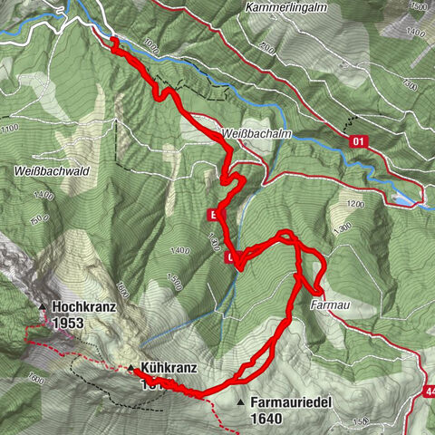 Carte