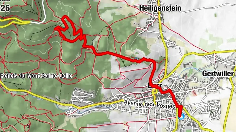 1er Mai - Balade au château du Landsberg depuis Barr - 100% à pied  sans voiture