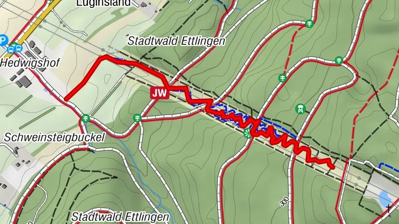 Strommasten-Downhill am Edelberg