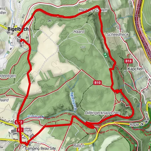Carte