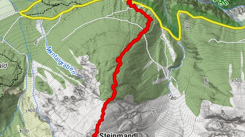 Aufstieg zum Steinmandl (1906m) | Steiler Waldaufstieg für ein einsames Panorama