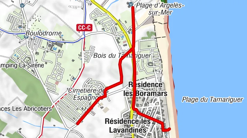 Carte