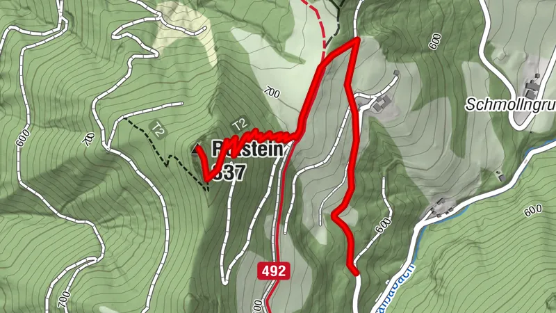Rotstein