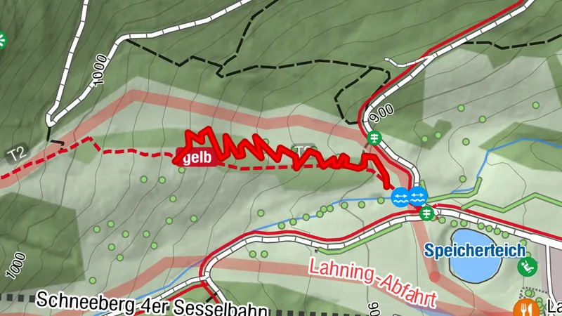 Easy Rider Trail Alpen Bikepark Schneeberg
