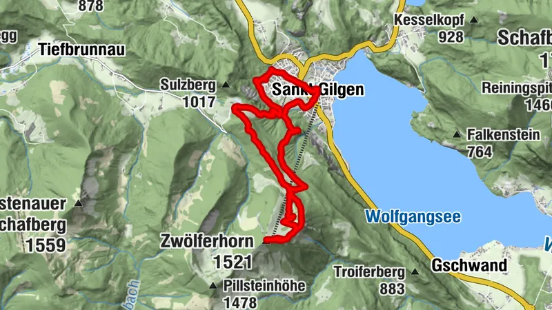 St.Gilgen-Kühleiten-Elferstein-12eHorn