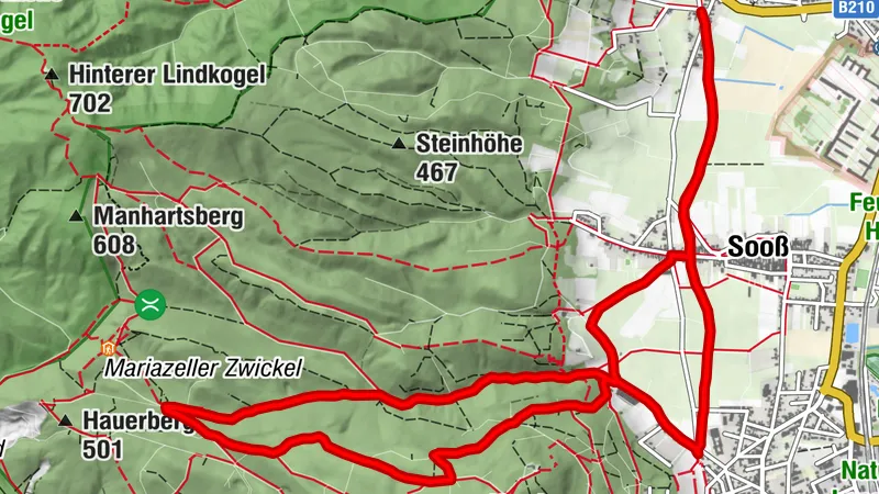 Baden BV Hauerberg Harzberg RDW
