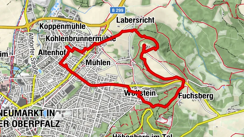 2026.05.15. Burgruine Wolfstein