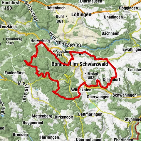 Carte