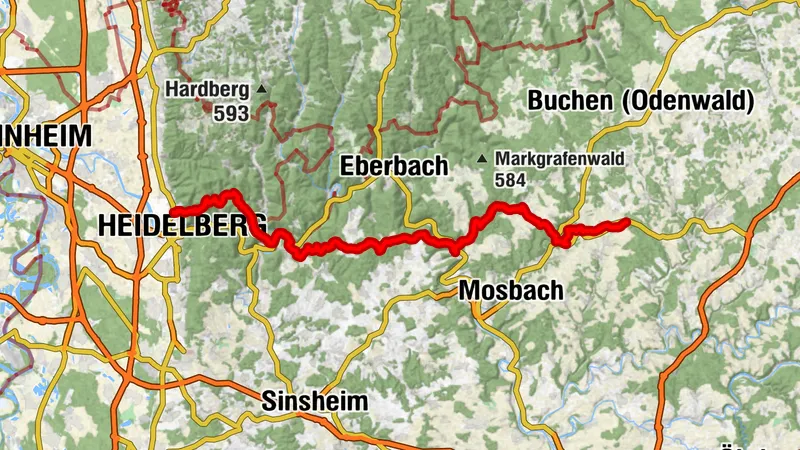 Carte