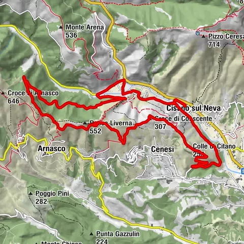 Carte