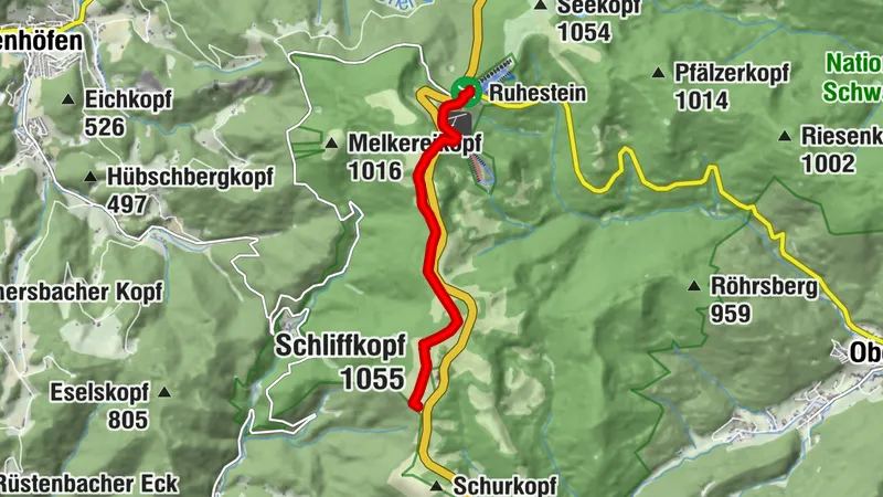 Schneeschuhtour vom Ruhestein zum Schliffkopf