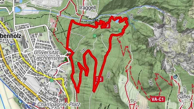 Wanderung zum Wildschloss (Burgruine Schalun)