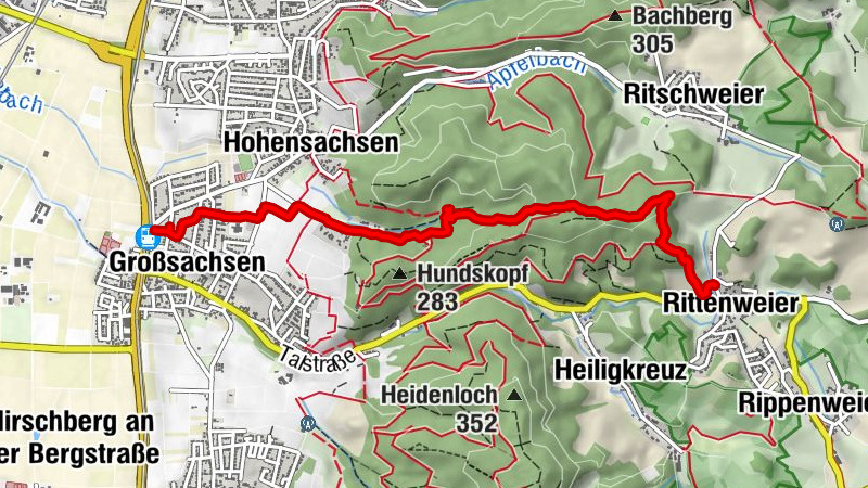 Viernheim United Winterwanderung